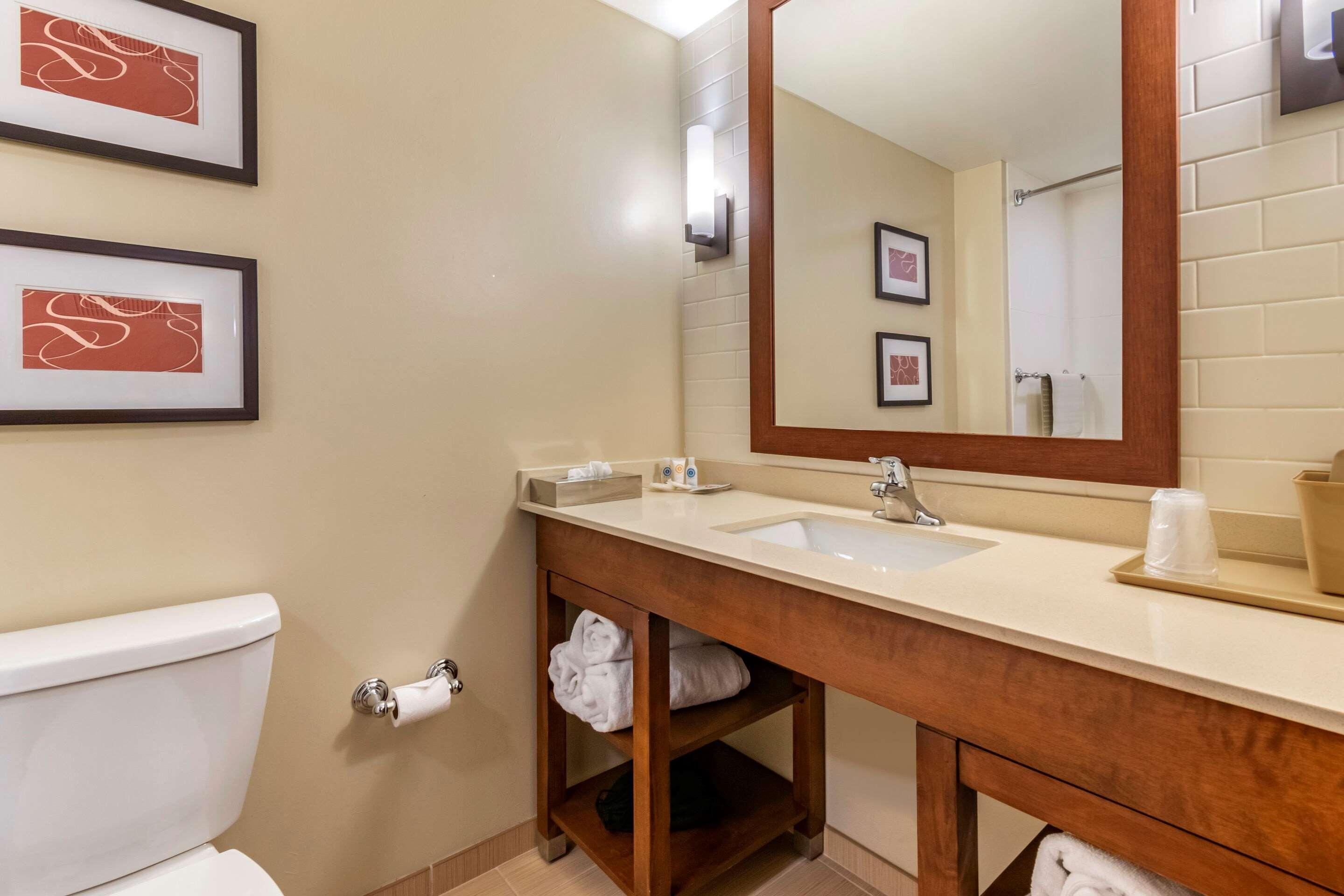 Comfort Suites Manheim - Lancaster Luaran gambar