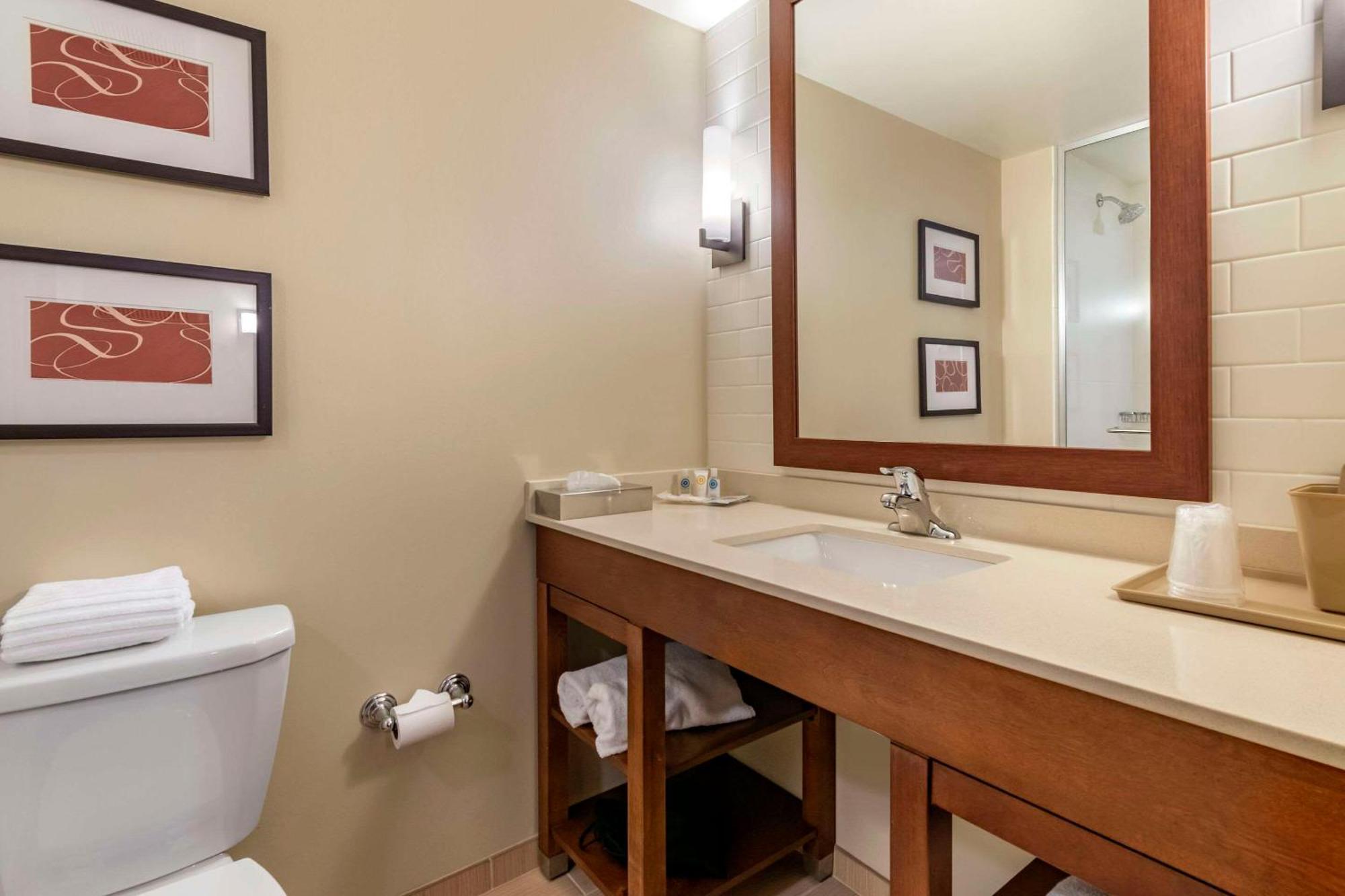 Comfort Suites Manheim - Lancaster Luaran gambar